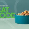 Best Cat Food for Optimal Health