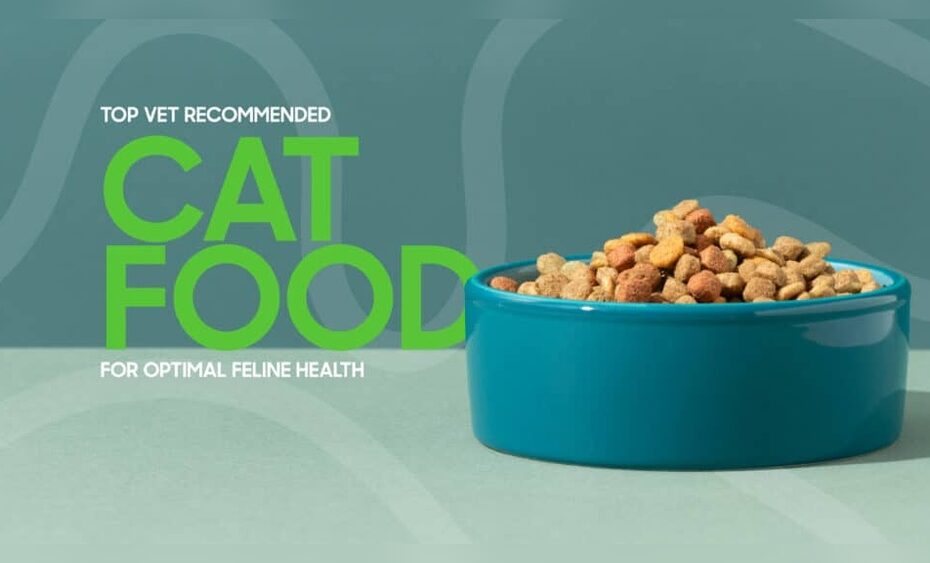 Best Cat Food for Optimal Health
