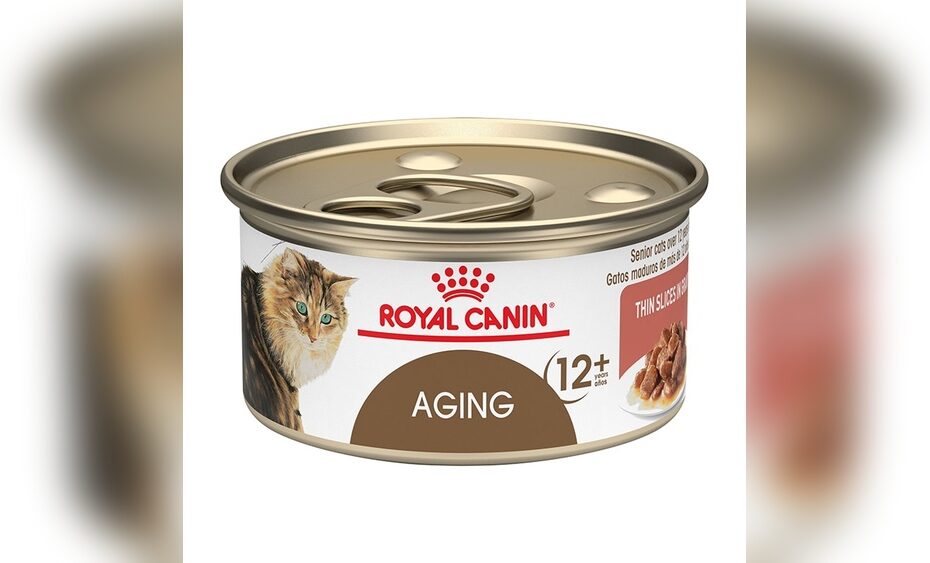 Best Cat Food for Senior Cats