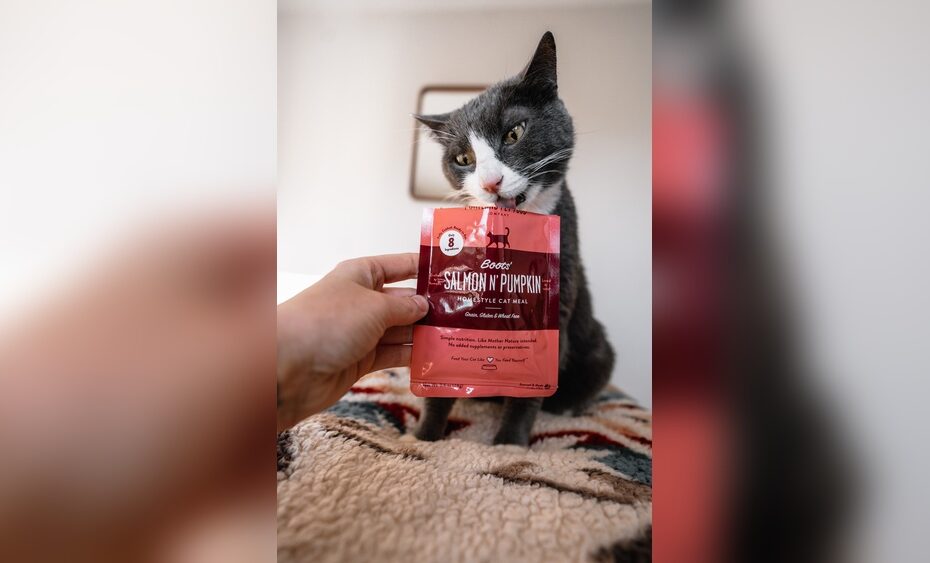 Best Cat Food for Sensitive Stomachs