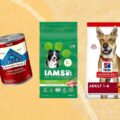 Best Dog Food Brands: Top Choices