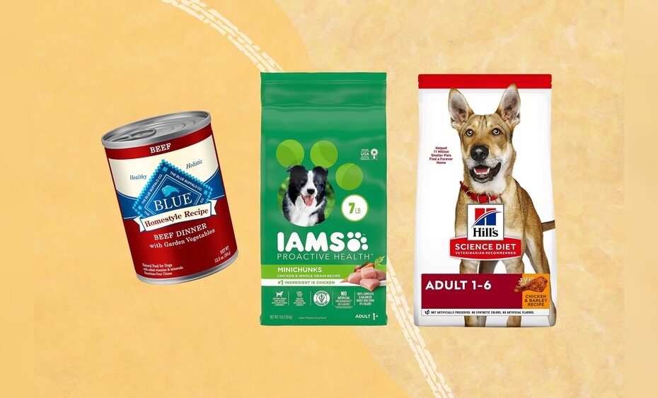 Best Dog Food Brands: Top Choices