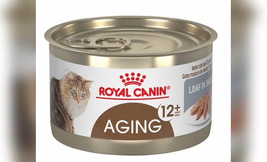 Best Wet Food for Senior Cats