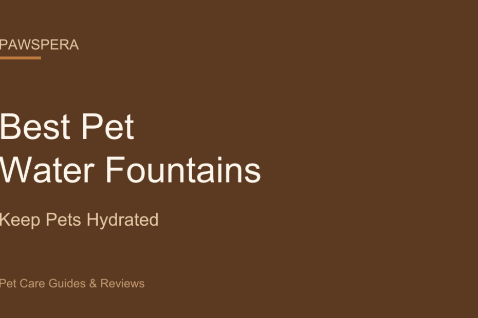 01 water fountain