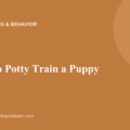 03 potty train