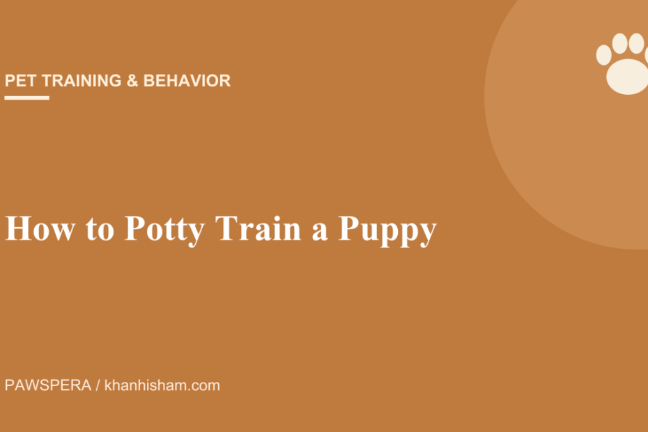03 potty train