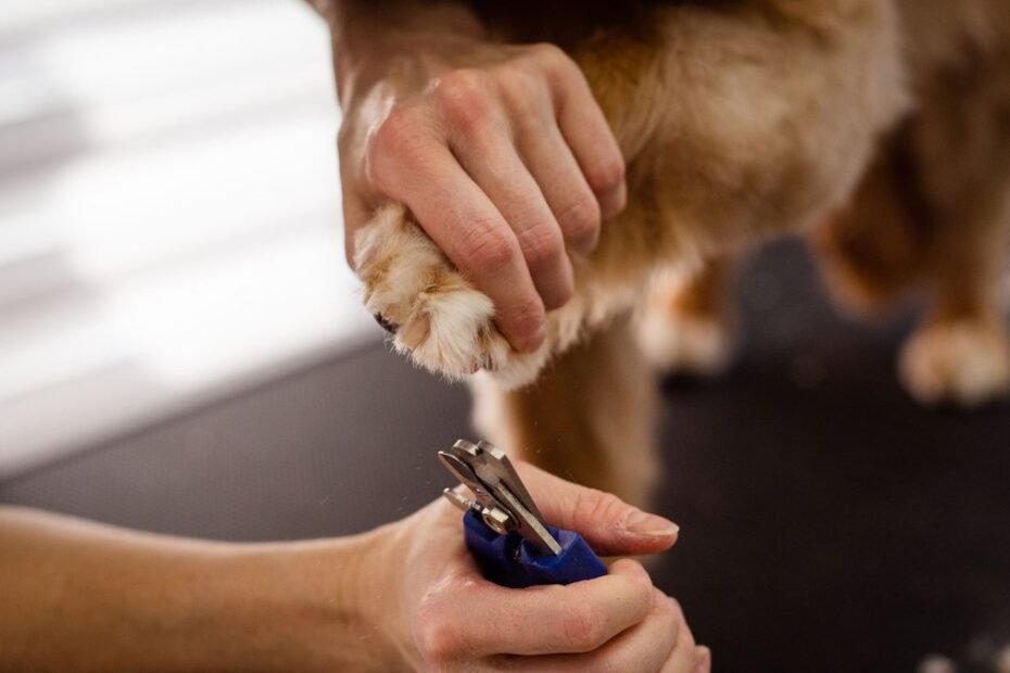 08 dog nail clippers