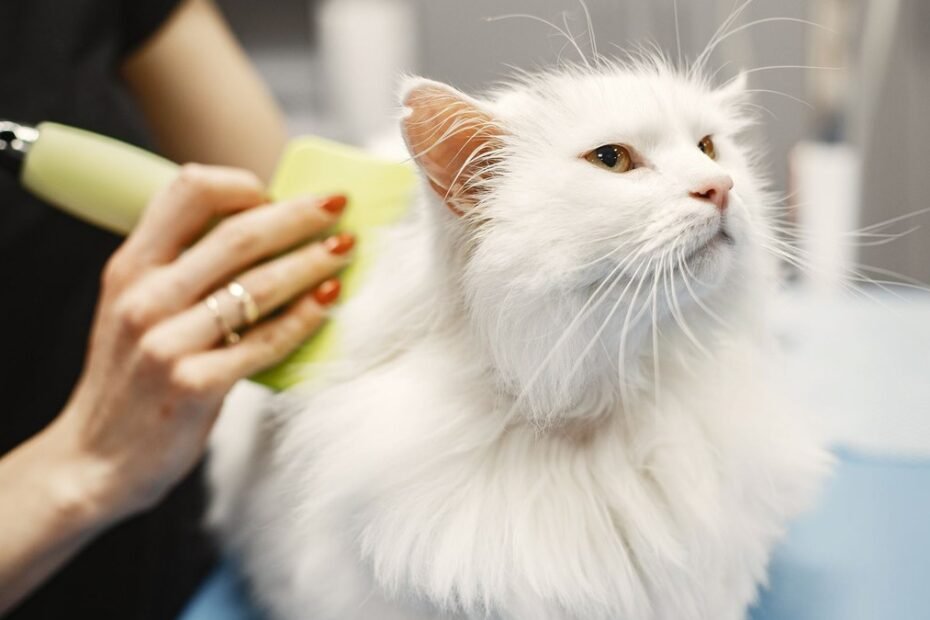 14 cat grooming gloves