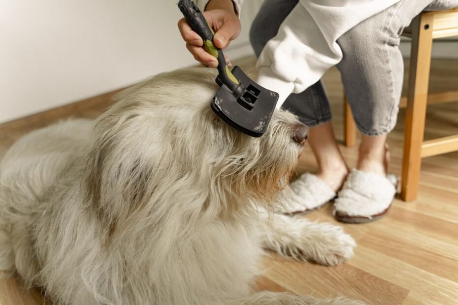 Person using a deshedding brush to groom a fluffy dog and remove loose fur