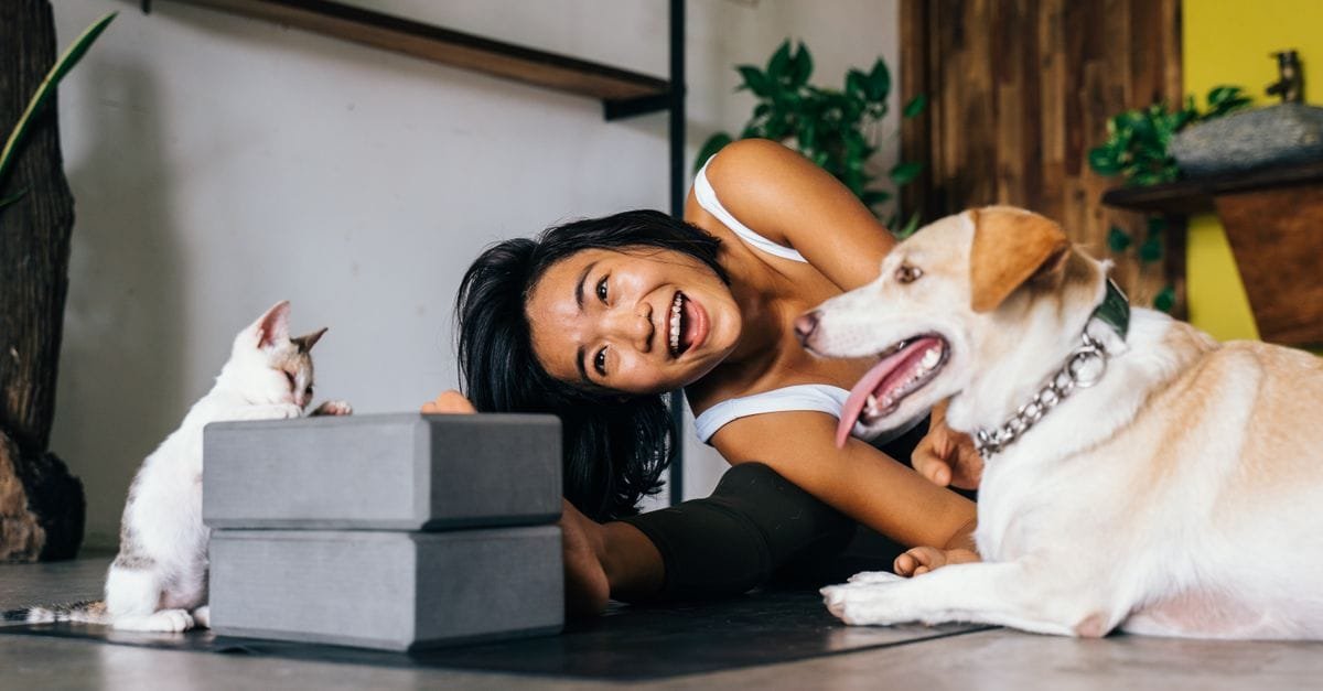 Practices Introducing Pets New Homes