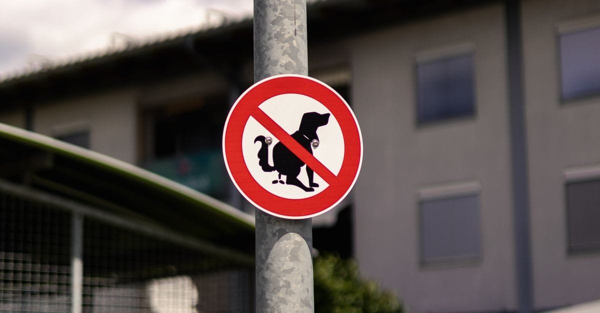 Dog Poop Bags
