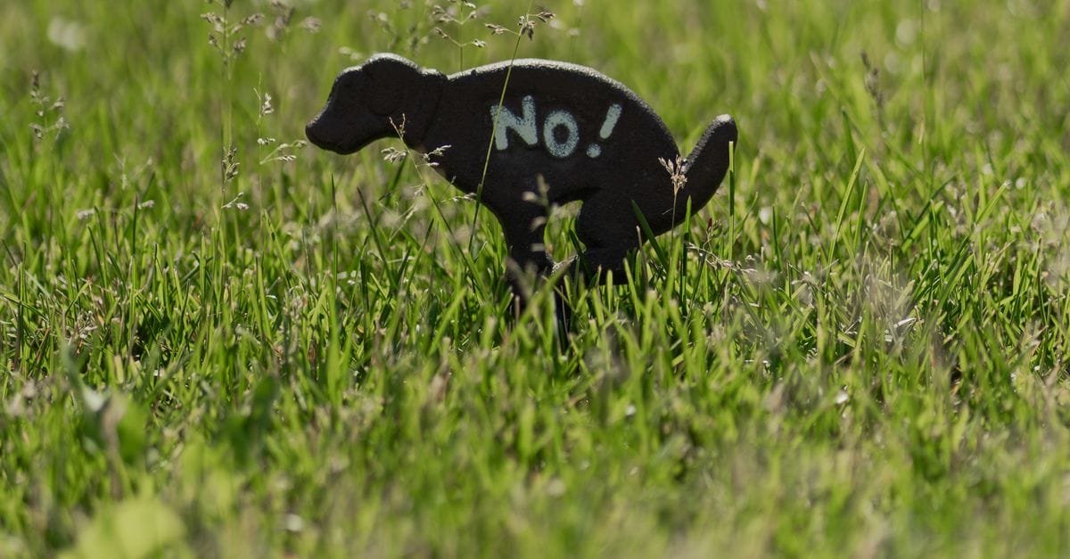 Dog Poop Bags