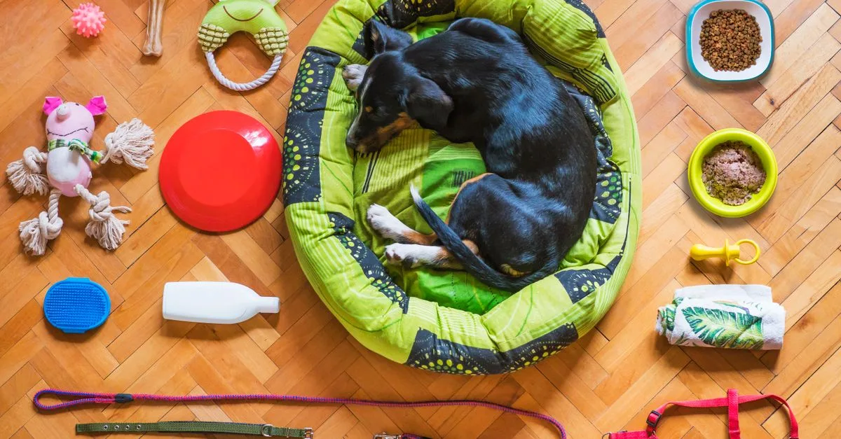 Pet Care Checklist