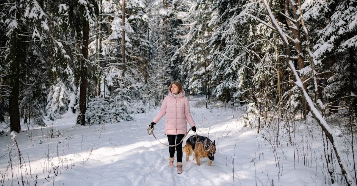 Keep Pets Healthy In Winter