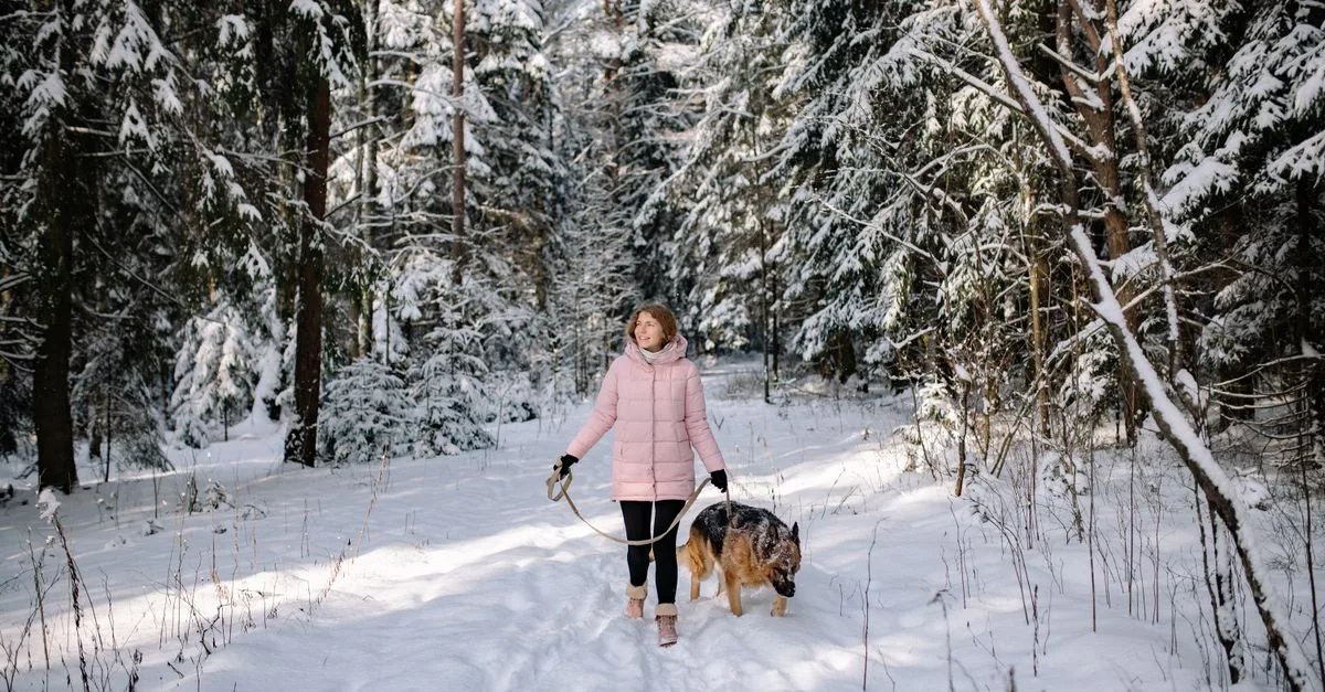 Keep Pets Healthy In Winter