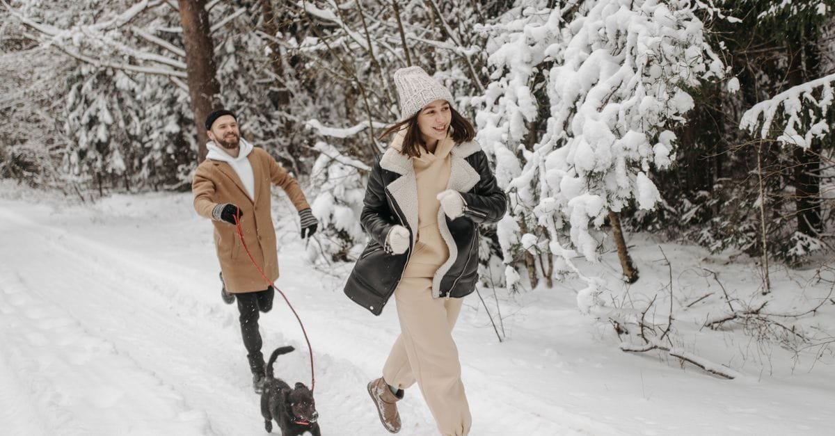 Keep Pets Healthy In Winter