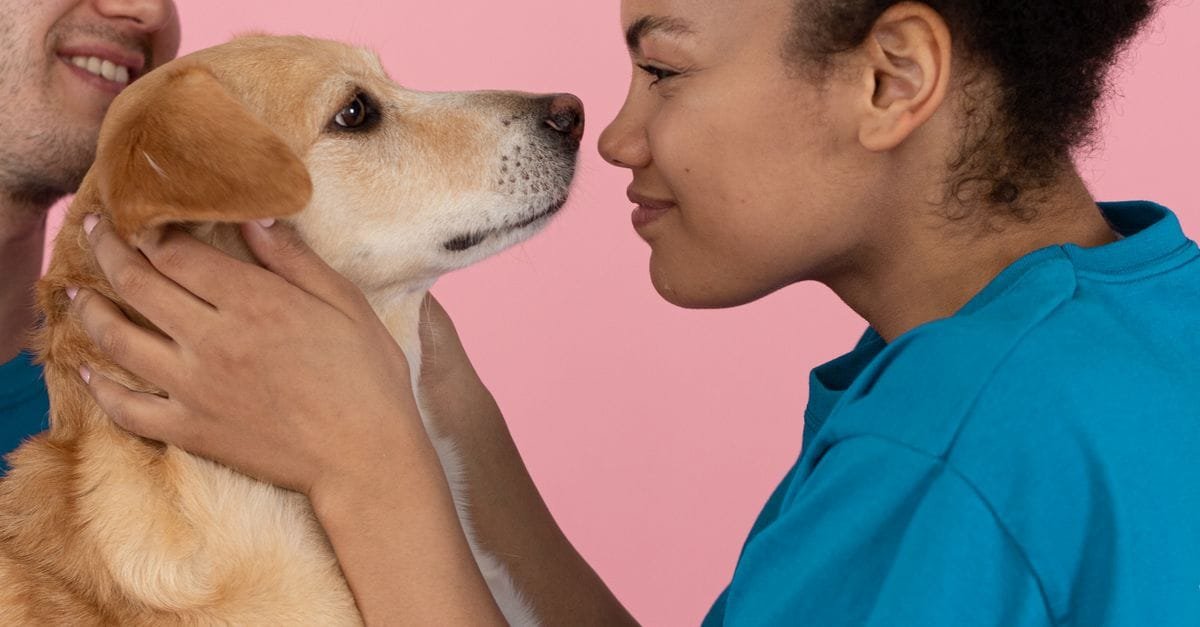 Pet Care