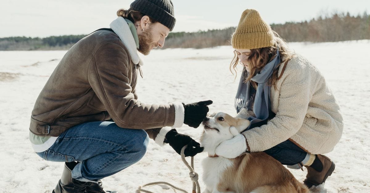 Keep Pets Healthy In Winter