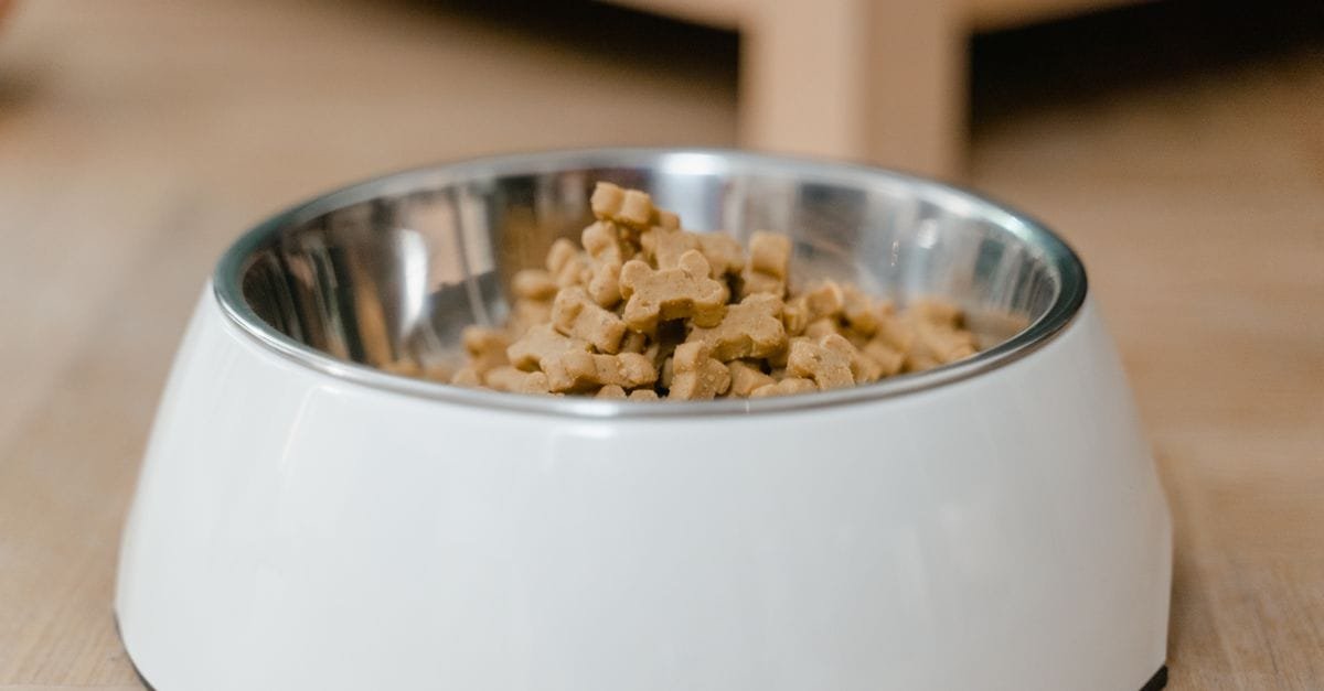 Slow Feeder Dog Bowl