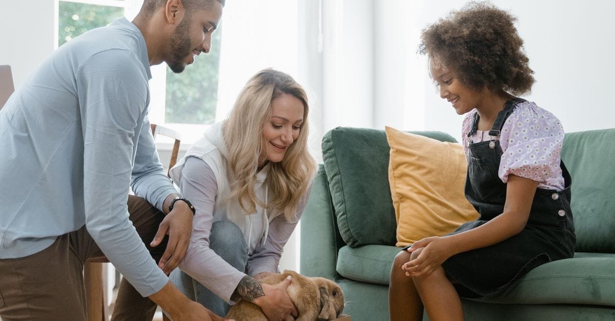 Practices Introducing Pets New Homes