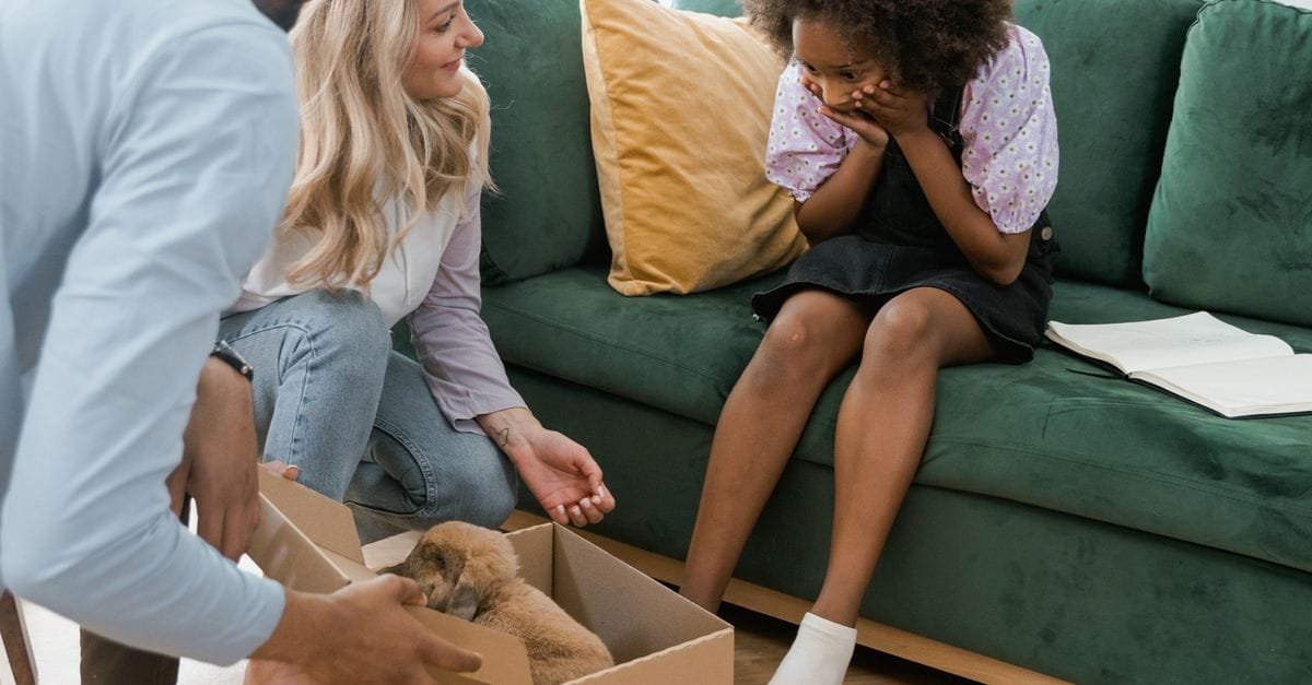 Practices Introducing Pets New Homes