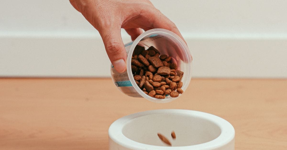 Slow Feeder Dog Bowl