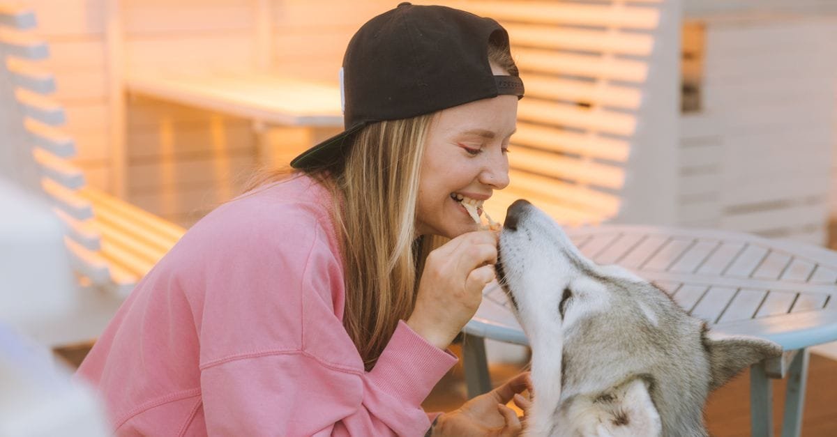 Human Foods Dogs Can Eat
