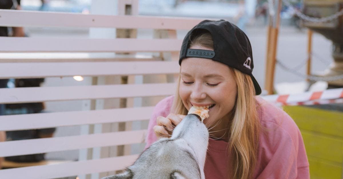 Human Foods Dogs Can Eat