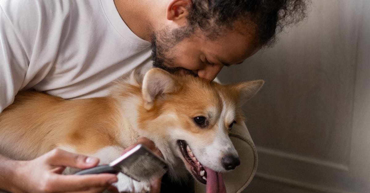 Pet Care