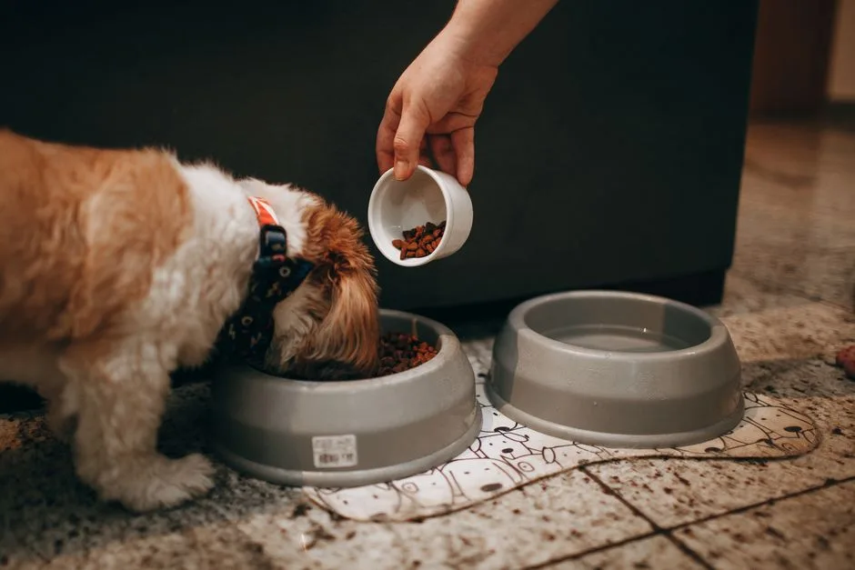 Measuring out a portion of dog food into a bowl