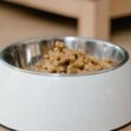 Fresh dog kibble kept in proper airtight food storage