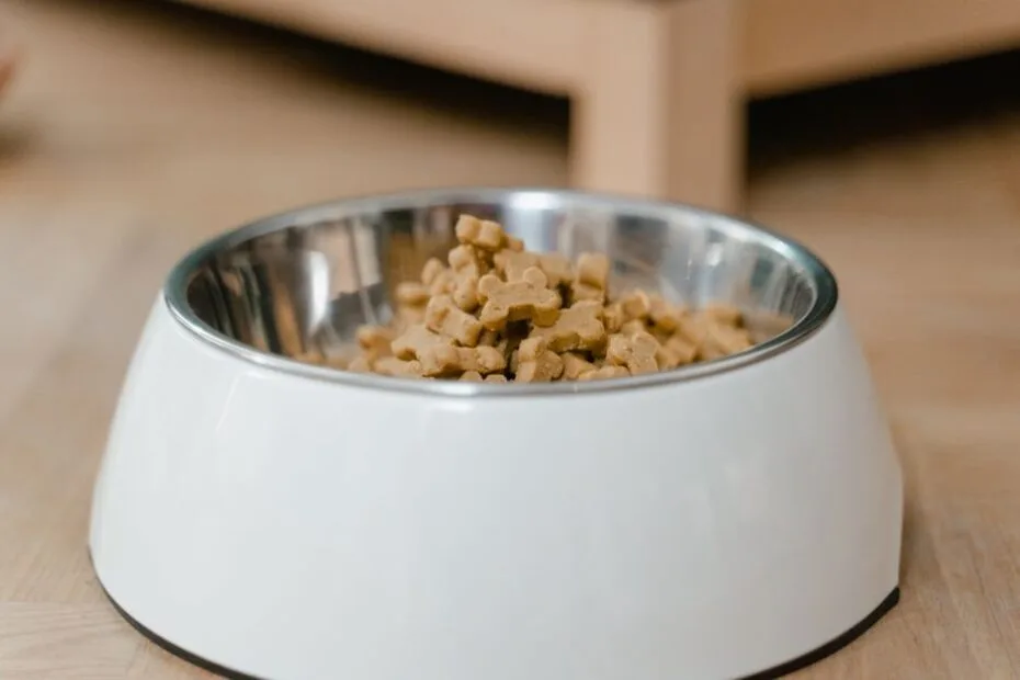 Fresh dog kibble kept in proper airtight food storage