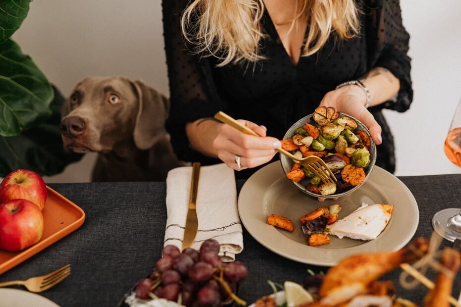 Happy dog eating from a raised stainless steel elevated dog bowl at home