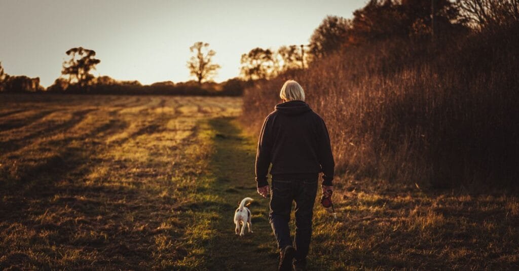 Owner and dog walking at golden hour