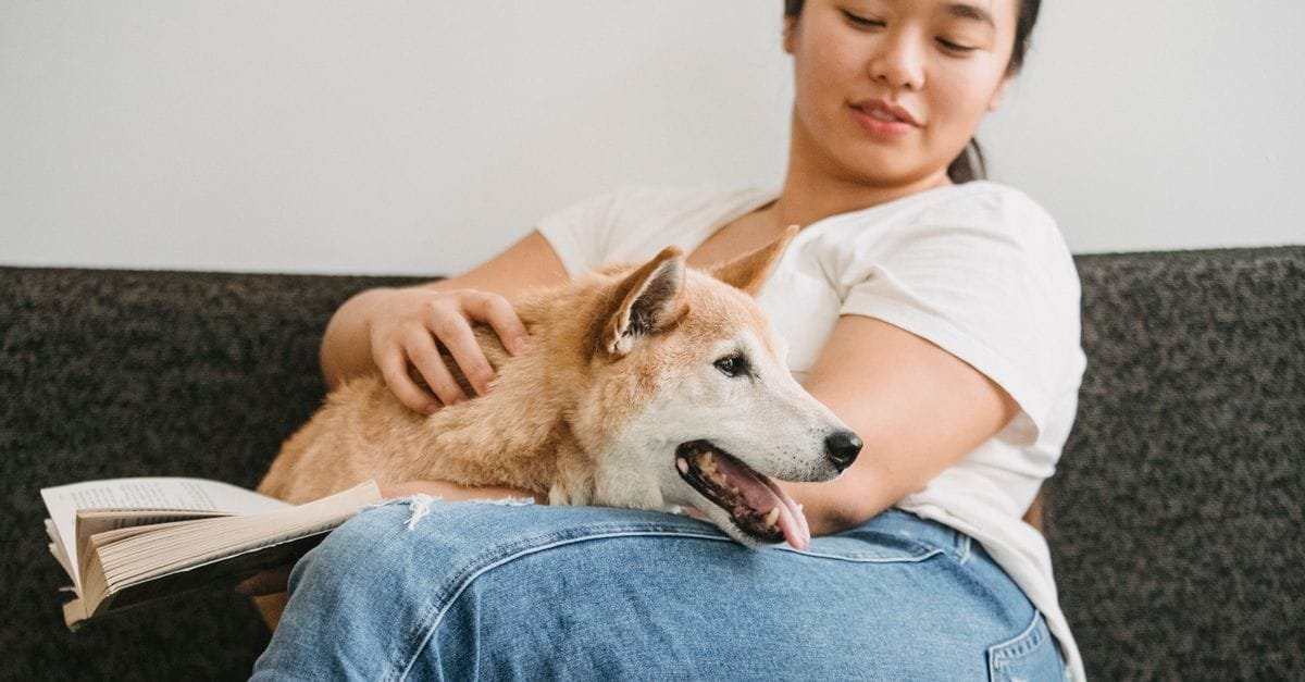 A woman reading with a relaxed dog on her lap