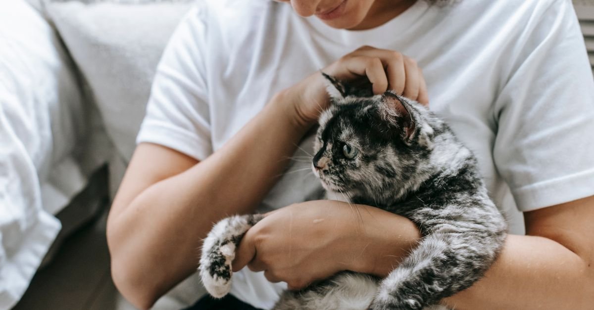 A woman cuddling a relaxed cat indoors
