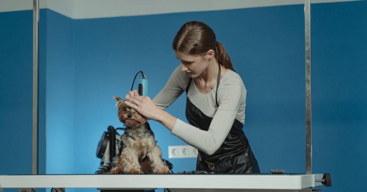 Caring for a dog's ears