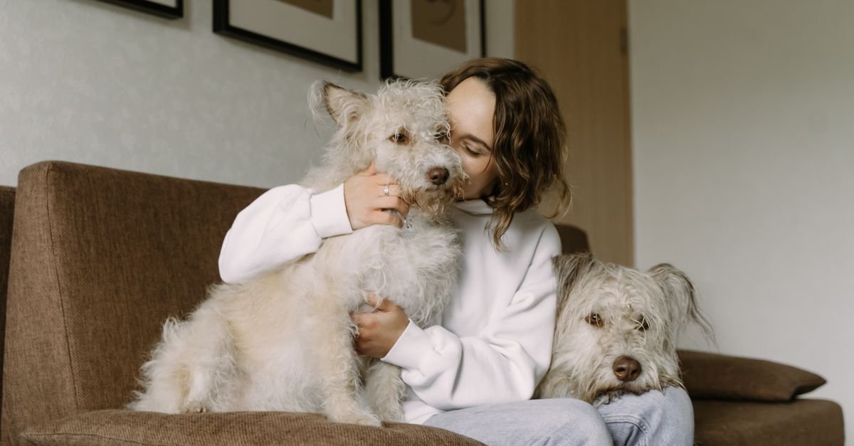 Dogs cuddled up with their person on the sofa