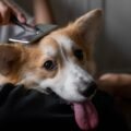 pexels photo 9986355 1