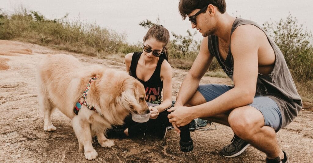 Couple giving their golden retriever water at a trailhead