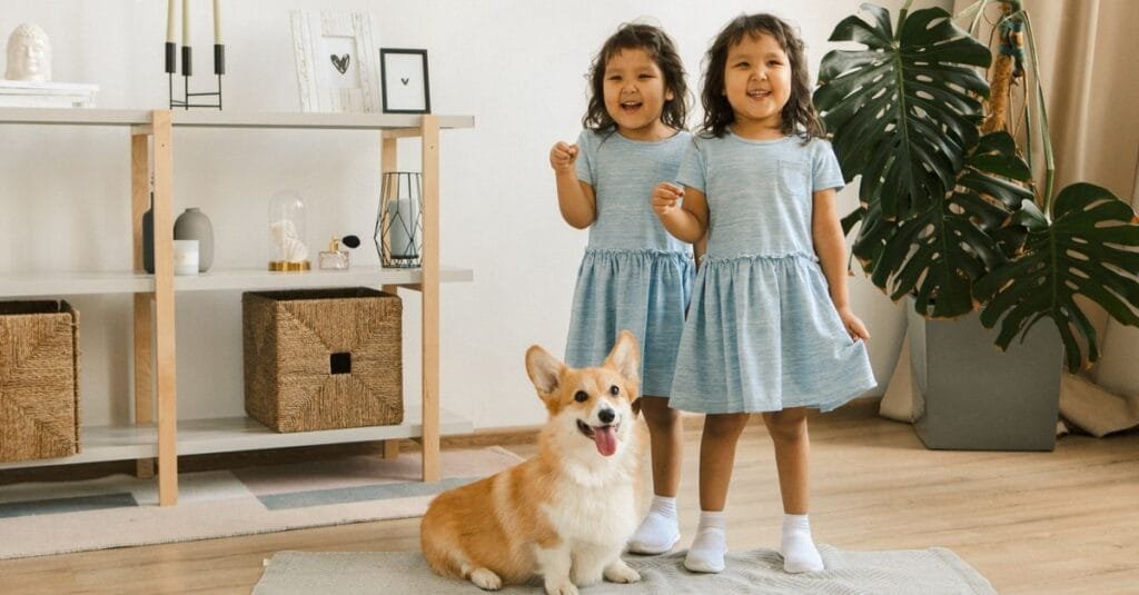 Corgi sitting proudly with two young girls