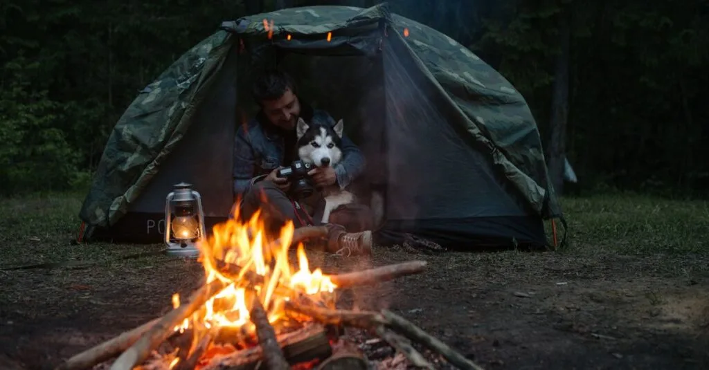 Husky and camper with a lantern beside a campfire and tent